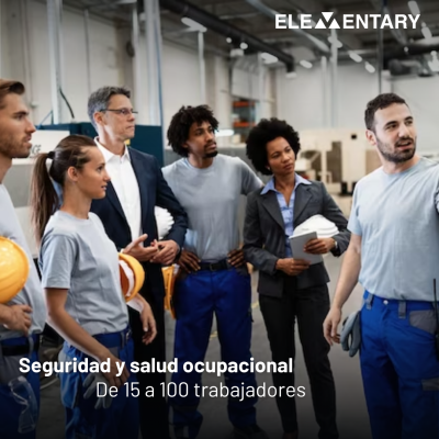 Cumplimiento S.S.O.  (15-100)